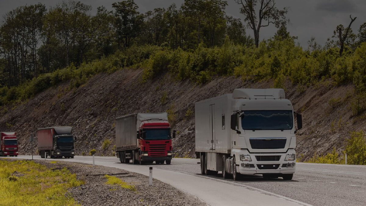 Precintos de Seguridad: Por qué son la primera línea de defensa en temporada alta