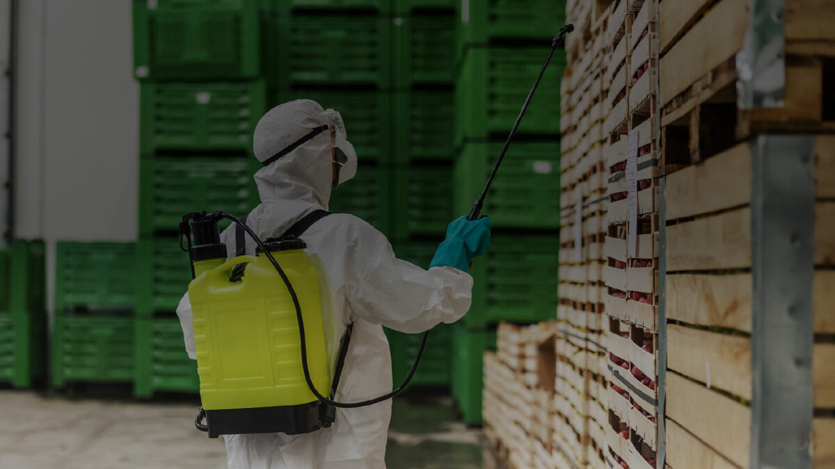 Protocolos fitosanitarios: Qué debe ir en tu marcaje para cumplir con mercados exigentes